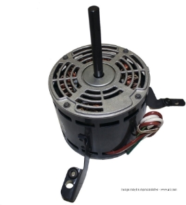 MOTOR 1/4HP 3SPD